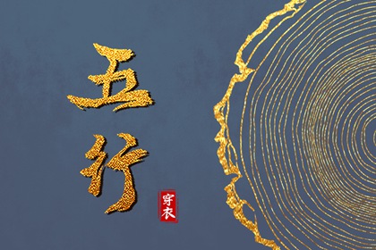 算命紫微斗数 命盘格局分析 测算紫微斗数 紫薇星斗数命盘