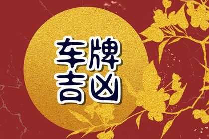 号码与人的关系